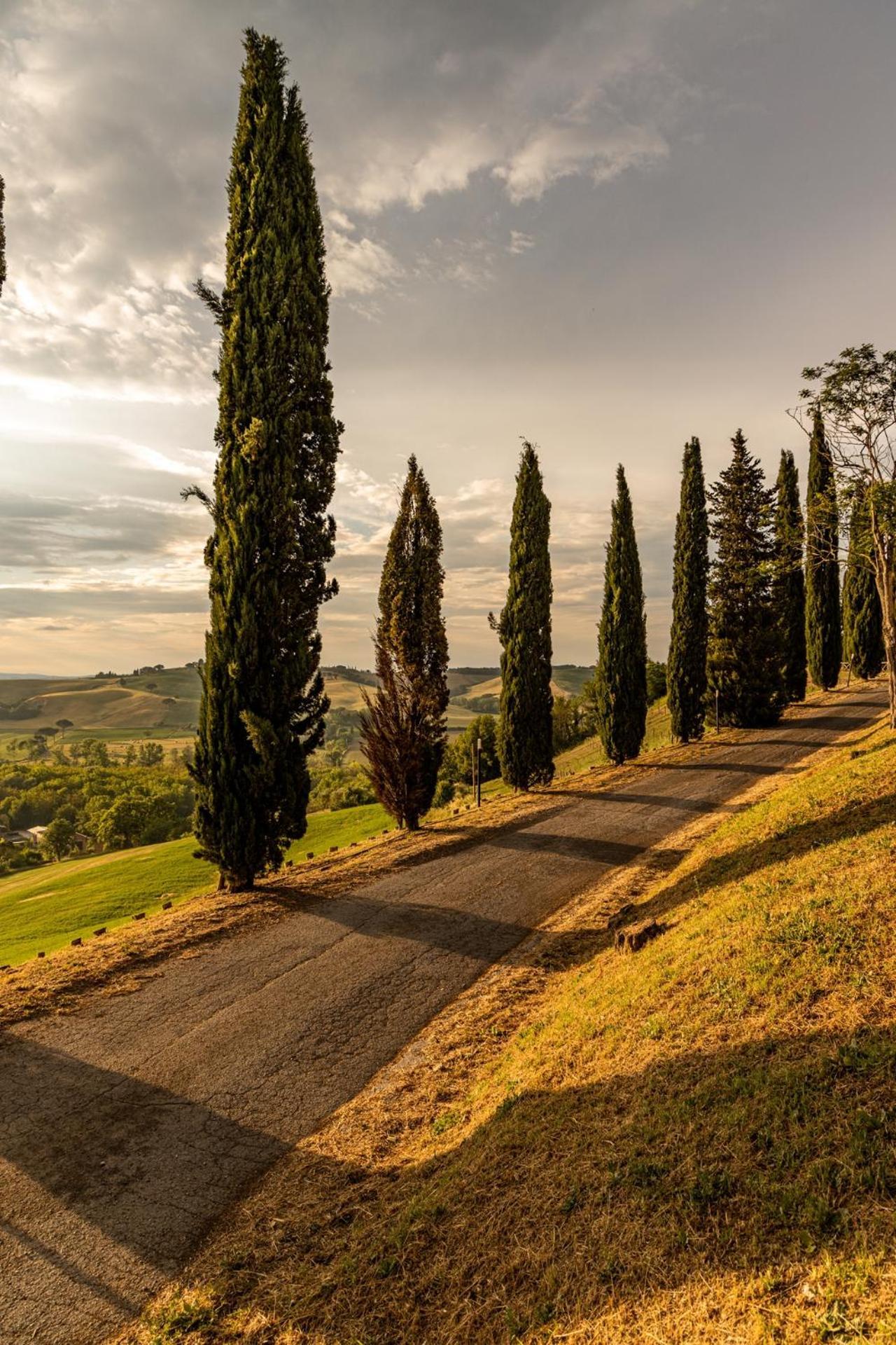 Agriturismo Percenna Buonconvento Extérieur photo